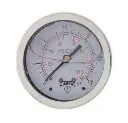 Manómetro WINTERS, Carátula de 2-1/2", Conexión de 1/4" NPT, Rango de 0 a 30 PSI, Rosca Posterior, Glicerina (PFQ902)